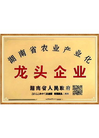 湖南省農業(yè)產業(yè)化龍頭企業(yè)